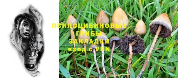 прущая мука Абаза