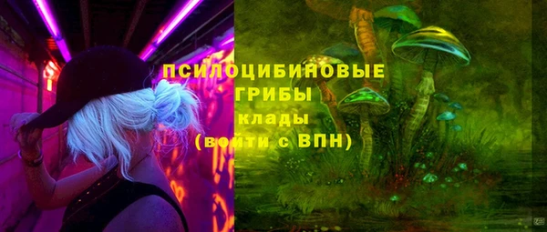 соль ск Абинск